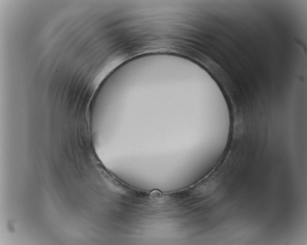 X0000103501242200809262006