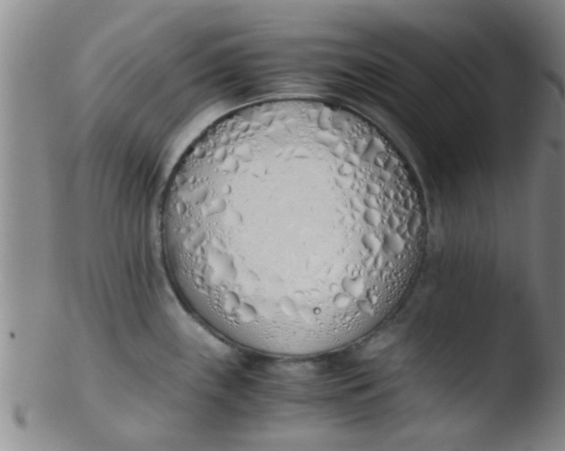 X0000103501243200809262006