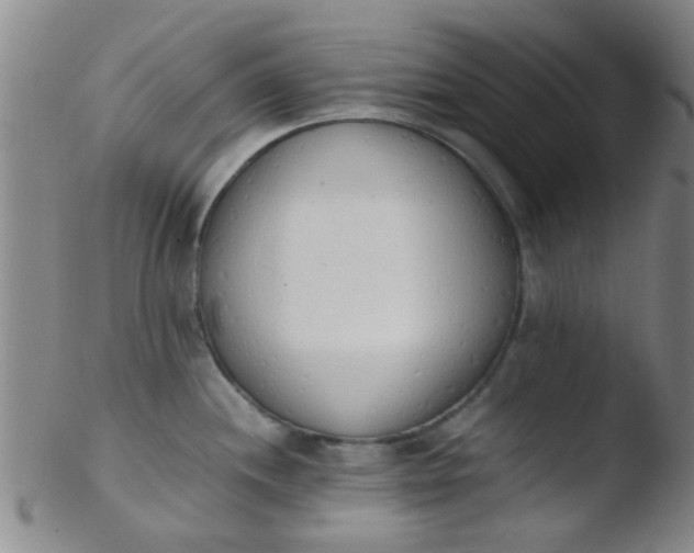 X0000103501244200809262006