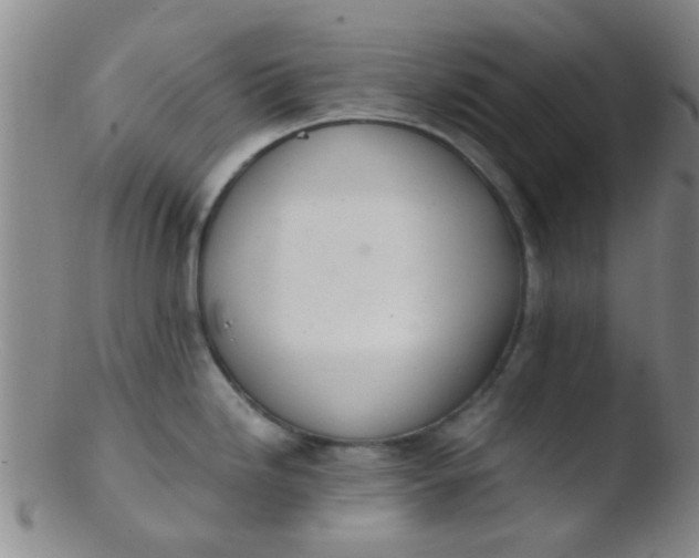 X0000103501246200809262006