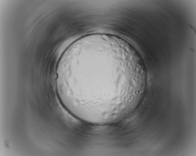 X0000103501247200809262006