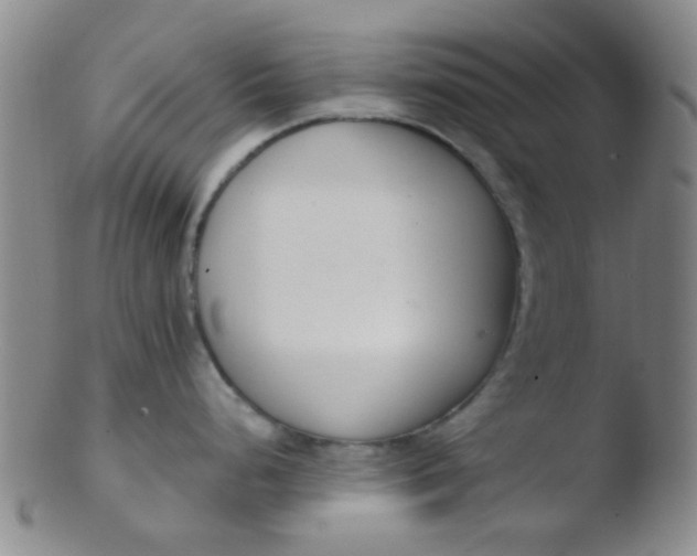 X0000103501248200809262006