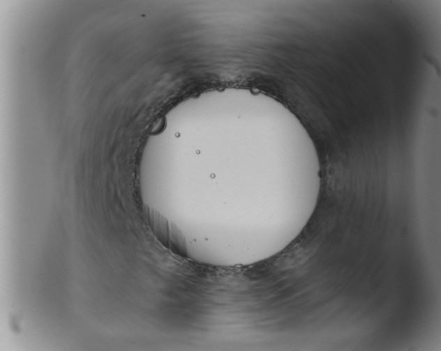 X0000103501249200809262006