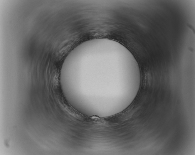 X0000103501250200809262006