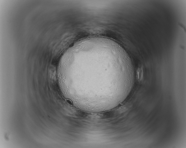 X0000103501251200809262006