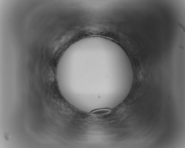 X0000103501253200809262006