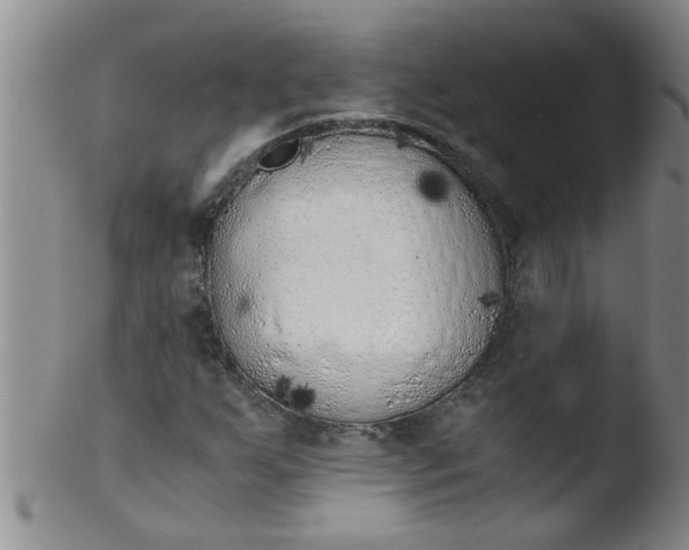 X0000103501255200809262006