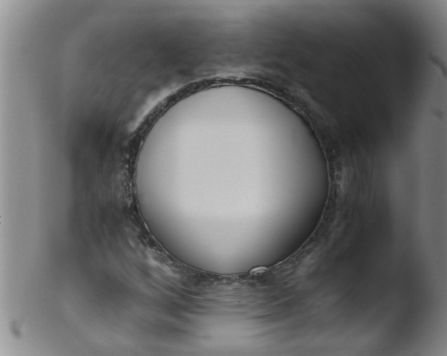 X0000103501256200809262006