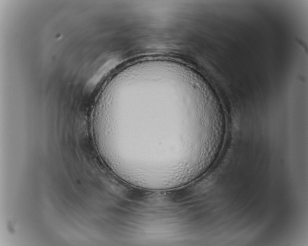 X0000103501259200809262006