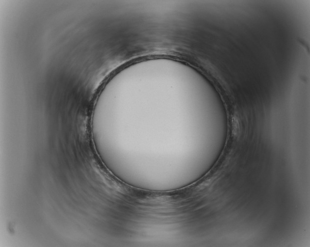 X0000103501260200809262006