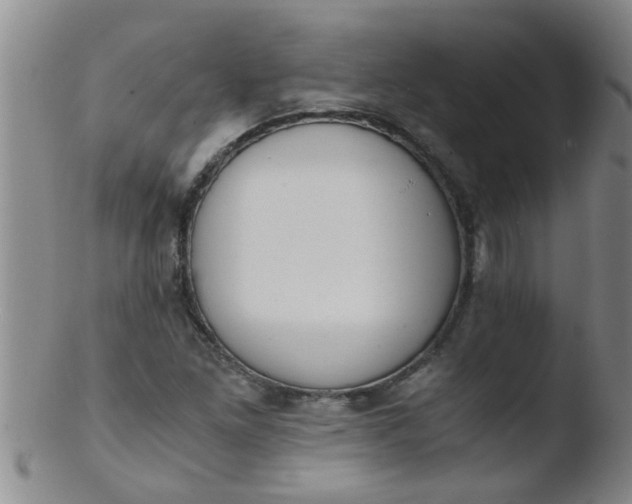 X0000103501261200809262006