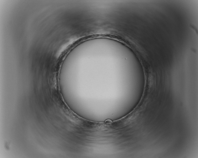 X0000103501262200809262006