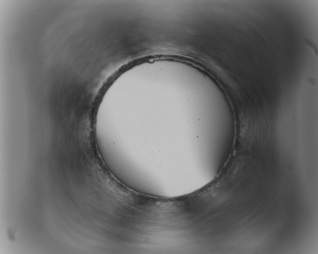 X0000103501264200809262006