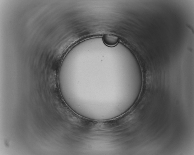 X0000103501265200809262006