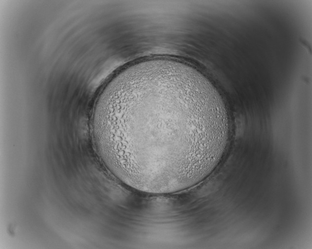 X0000103501266200809262006