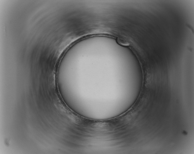 X0000103501268200809262006