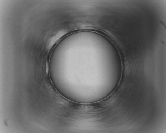 X0000103501269200809262005