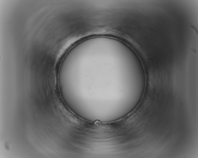 X0000103501270200809262005