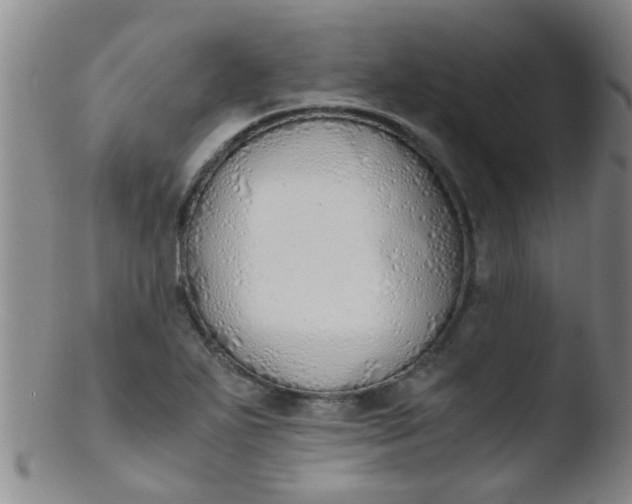 X0000103501271200809262005