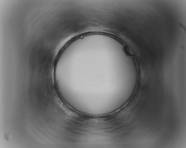 X0000103501272200809262005