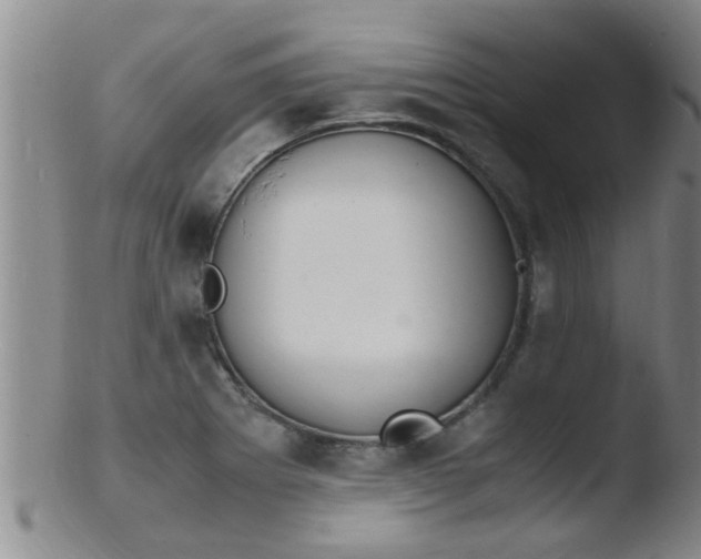 X0000103501273200809262005