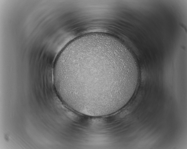 X0000103501274200809262005