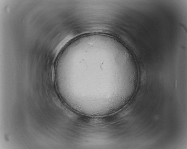 X0000103501275200809262005