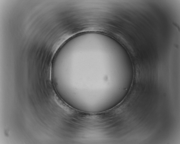 X0000103501276200809262005