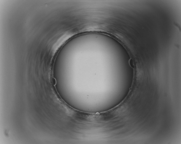 X0000103501277200809262005