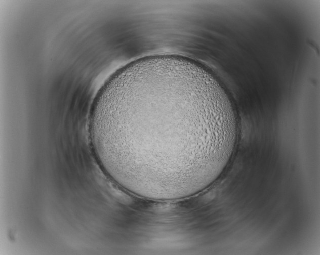 X0000103501278200809262005