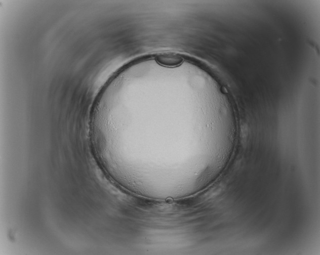 X0000103501279200809262005