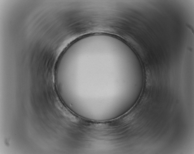 X0000103501280200809262005