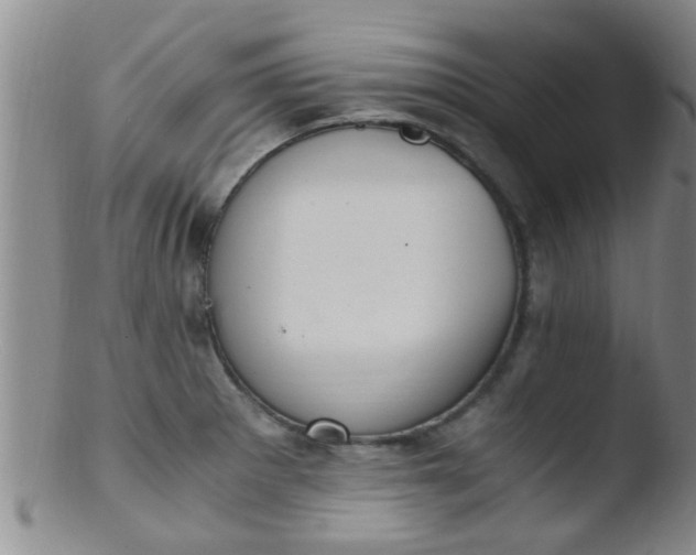 X0000103501281200809262005