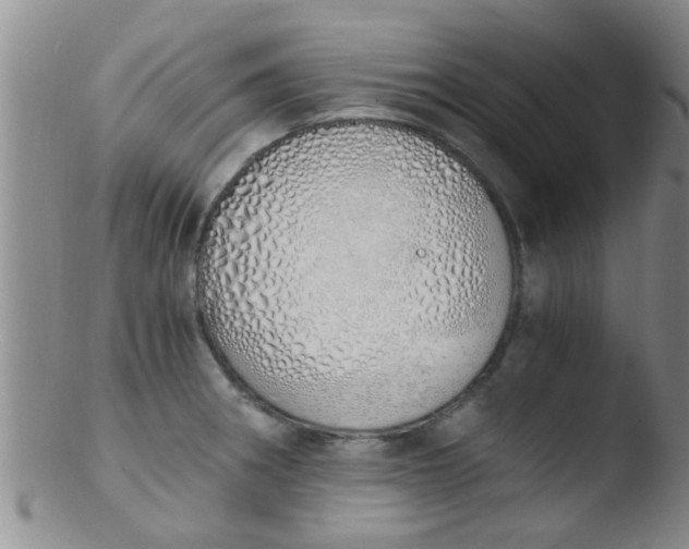 X0000103501282200809262005