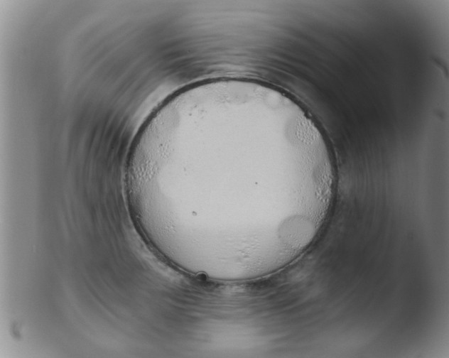 X0000103501283200809262005