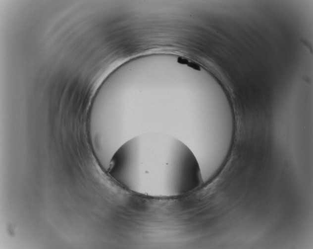 X0000103501284200809262005