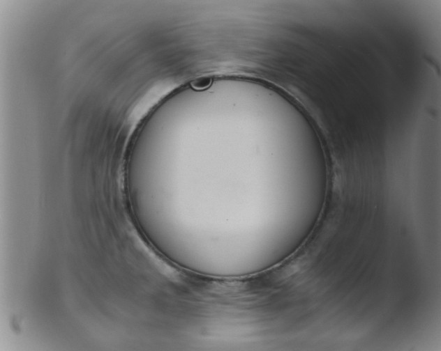 X0000103501285200809262005