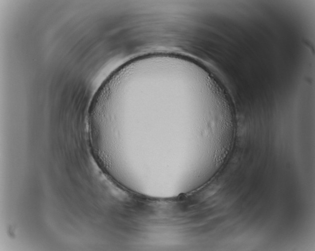 X0000103501287200809262005