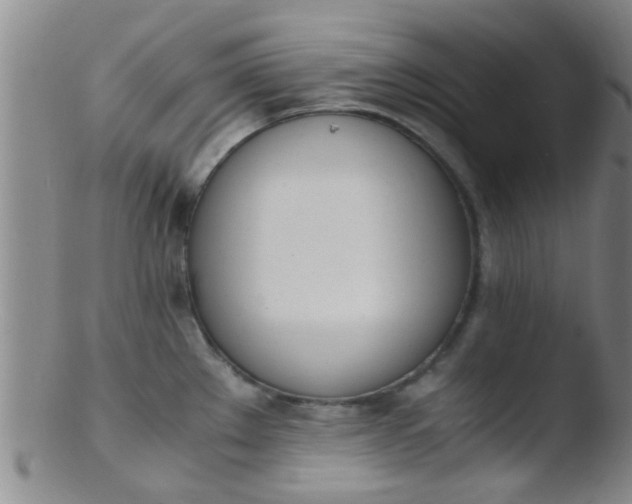 X0000103501289200809262005