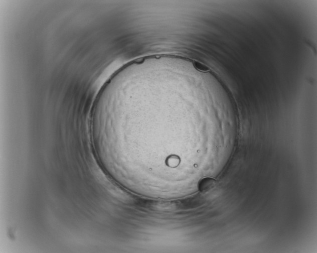 X0000103501291200809262005