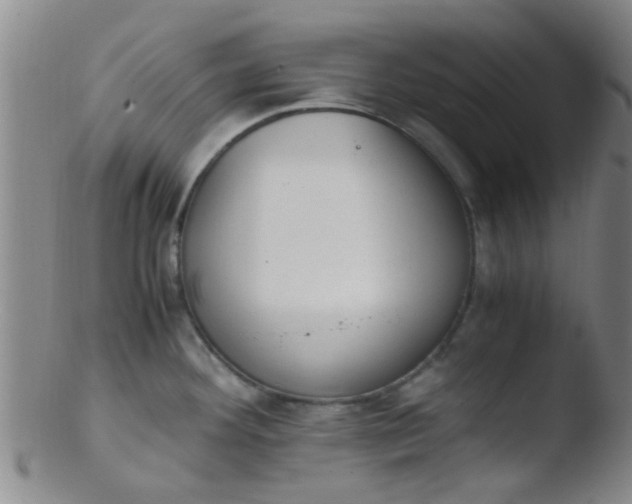 X0000103501292200809262005