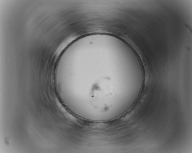 X0000103501293200809262005