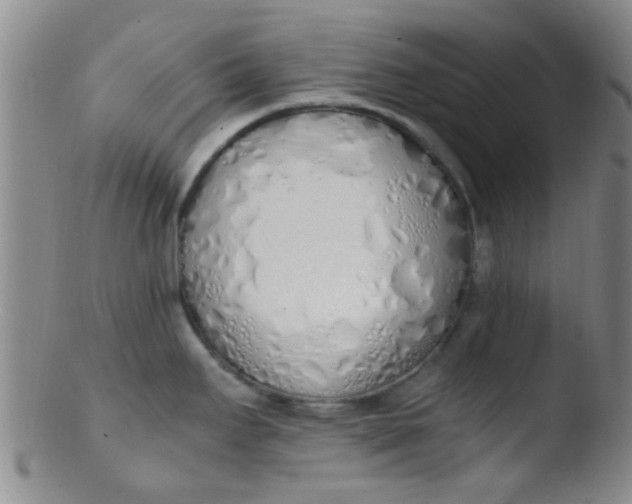 X0000103501295200809262005