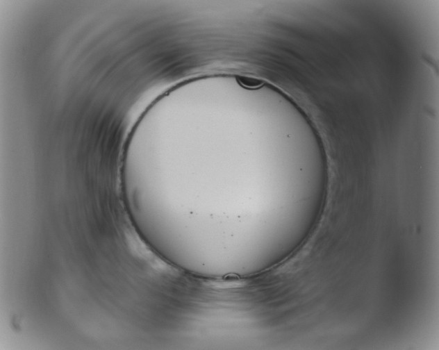 X0000103501296200809262005