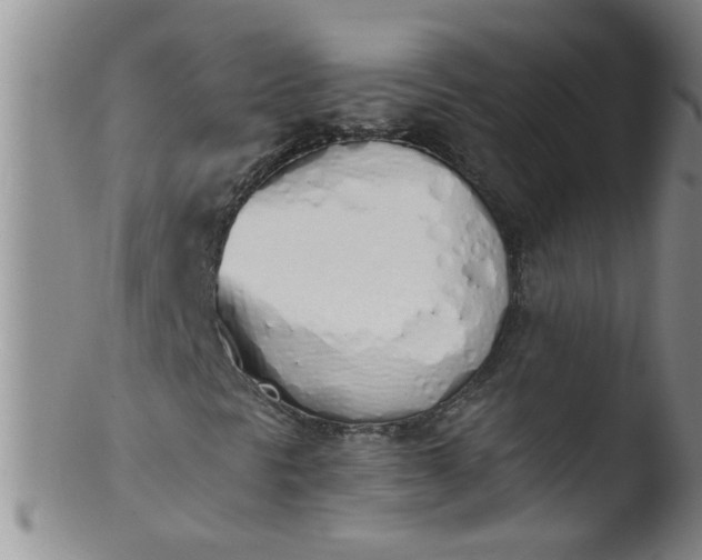 X0000103501297200809262004