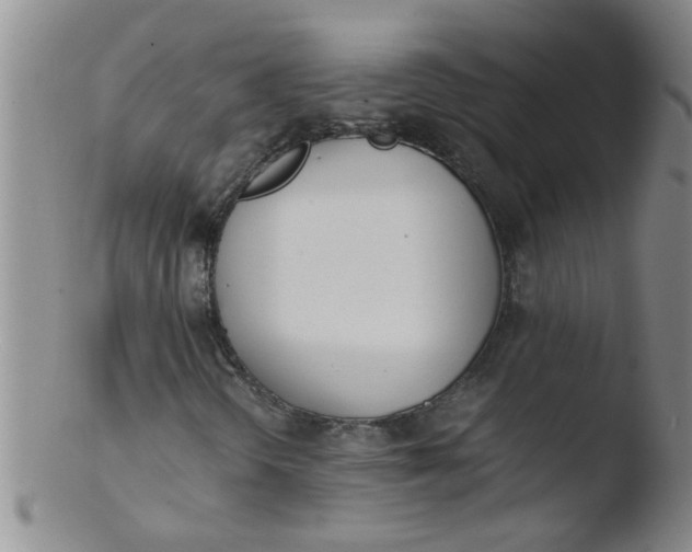 X0000103501298200809262004