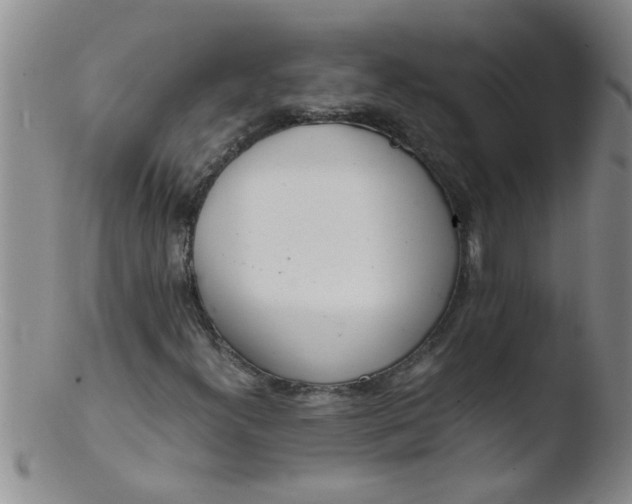 X0000103501300200809262004