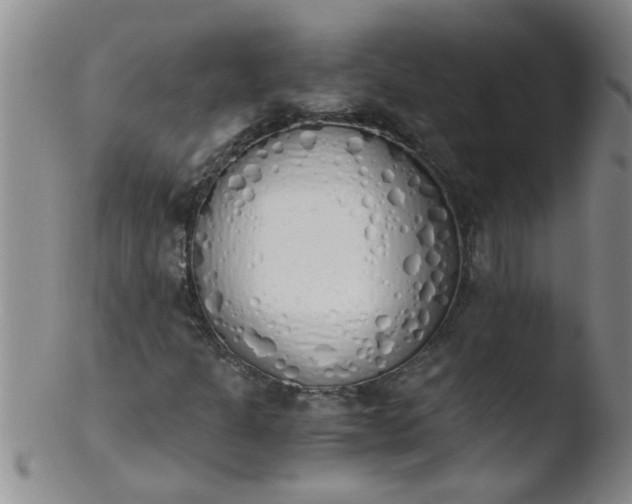 X0000103501301200809262004