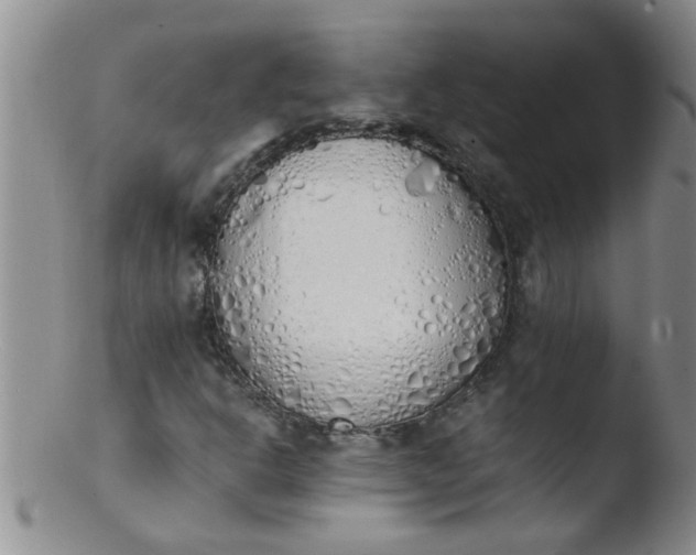 X0000103501302200809262004