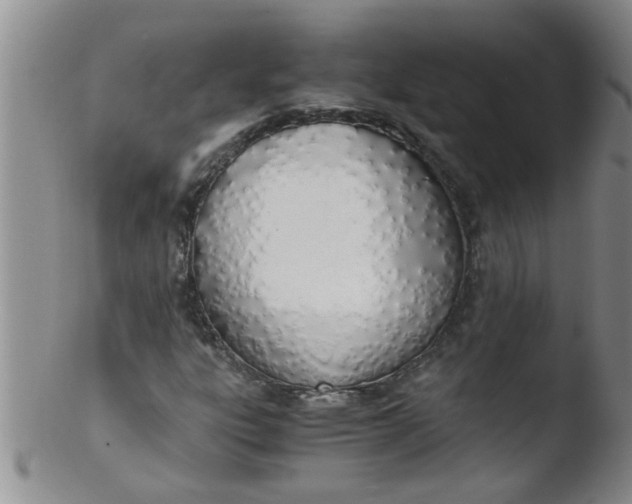 X0000103501303200809262004